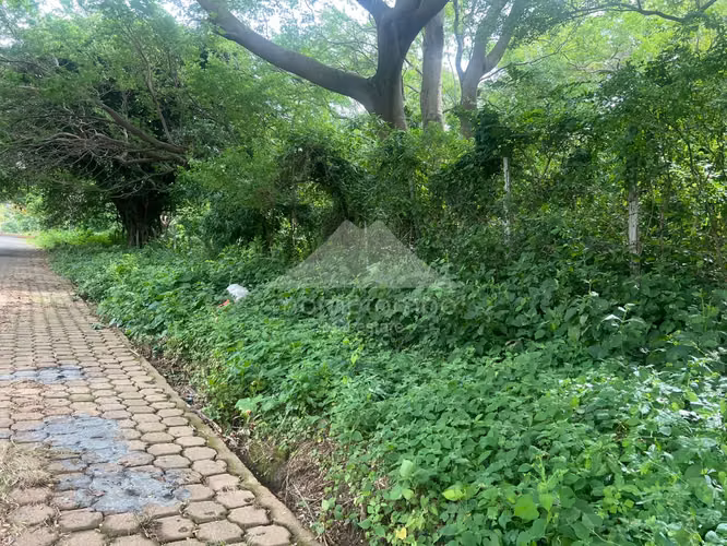 Terreno en Venta Carretera Sur, Managua - Imagen 8