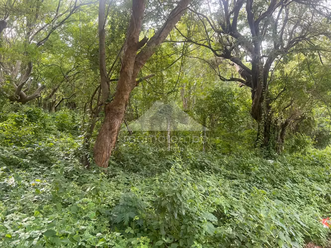 Terreno en Venta Carretera Sur, Managua - Imagen 12