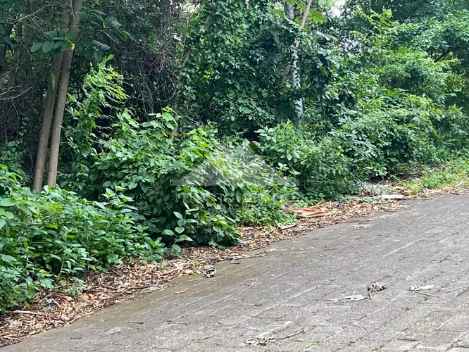 Terreno en Venta Carretera Sur, Managua - Imagen 19