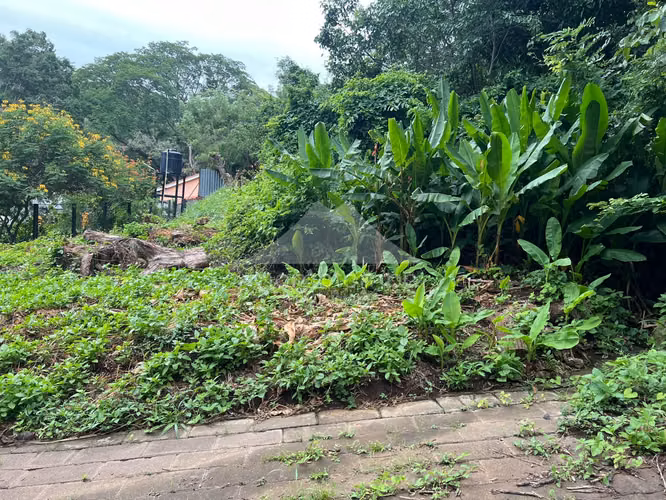 Terreno en Venta Carretera Sur, Managua - Imagen 11