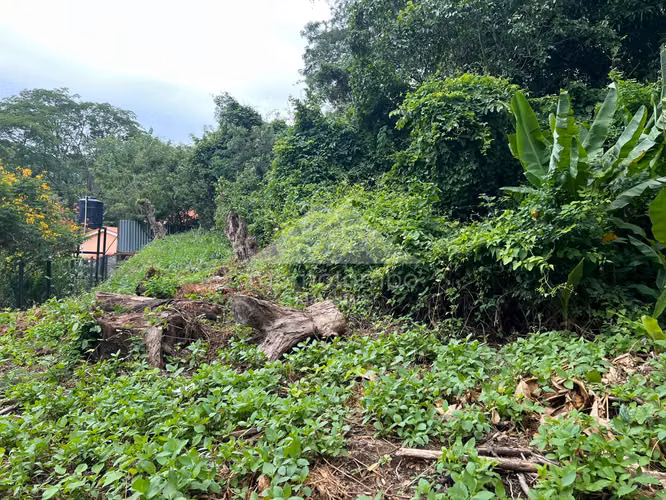 Terreno en Venta Carretera Sur, Managua - Imagen 5