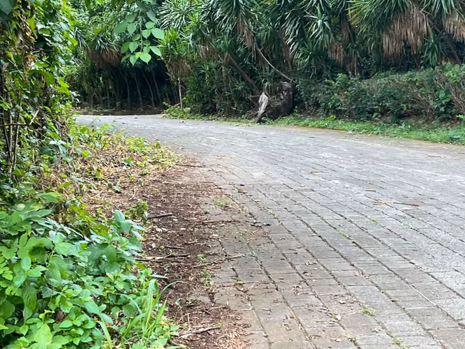 Terreno en Venta Carretera Sur, Managua - Imagen 7