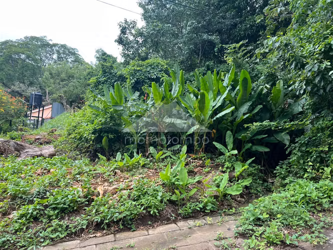 Terreno en Venta Carretera Sur, Managua - Imagen 15