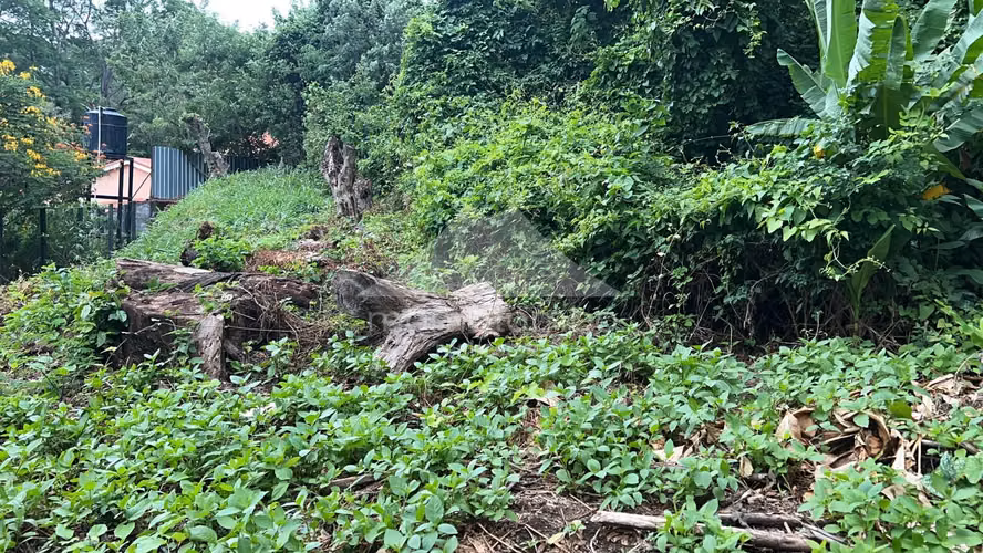 Terreno en Venta Carretera Sur, Managua - Imagen 4