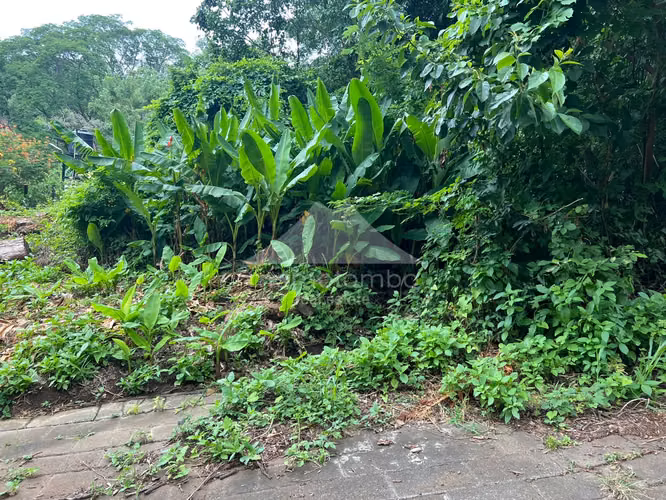 Terreno en Venta Carretera Sur, Managua - Imagen 2