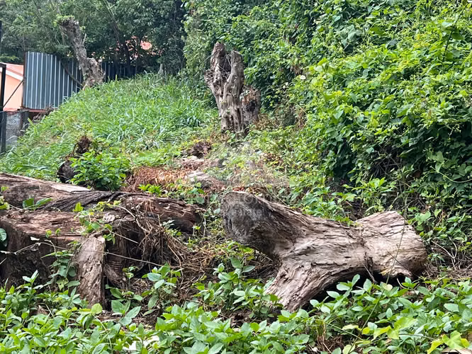 Terreno en Venta Carretera Sur, Managua - Imagen 6
