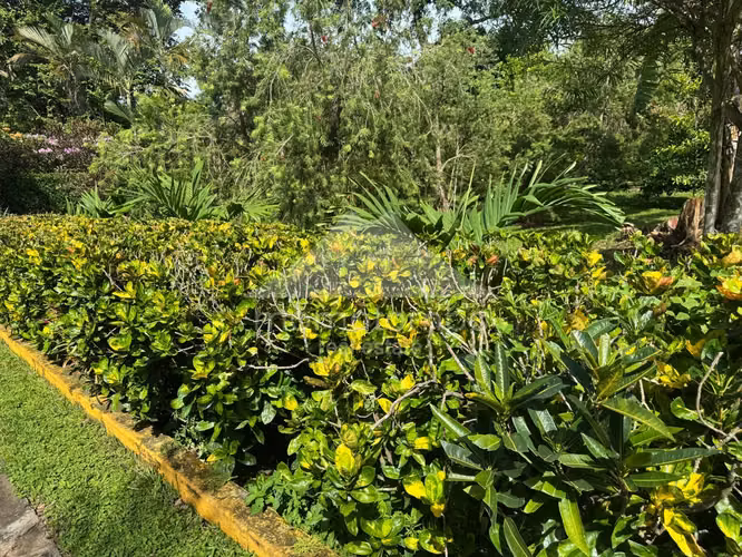 Quinta en Venta &amp; Renta Ticuantepe, Ticuantepe