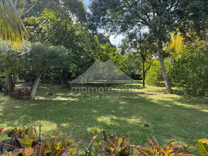 Quinta en Venta &amp; Renta Ticuantepe, Ticuantepe