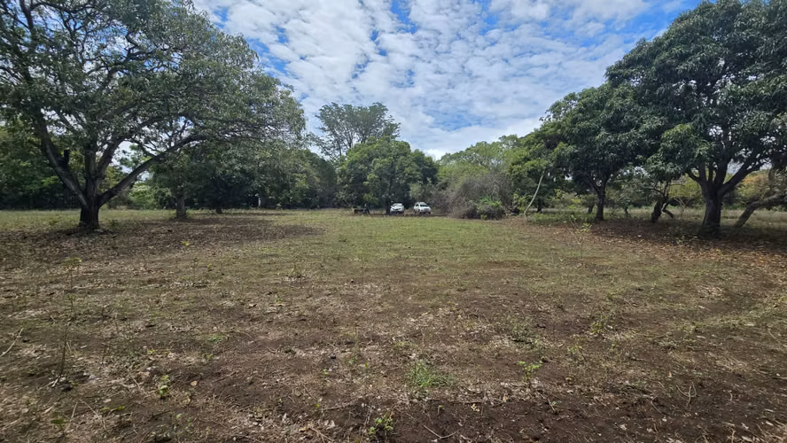 Venta de 2 Manzanas de terreno plano en Nindiri