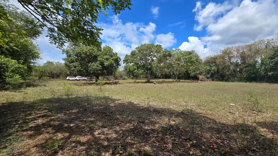 Venta de 2 Manzanas de terreno plano en Nindiri