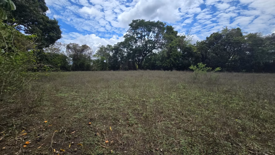 Venta de 2 Manzanas de terreno plano en Nindiri