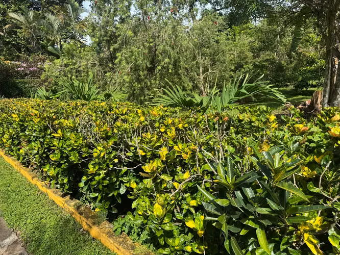 Venta de casa en Ticuantepe