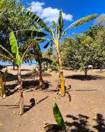¡En venta! Amplio terreno frente al mar, Managua. - Imagen 4