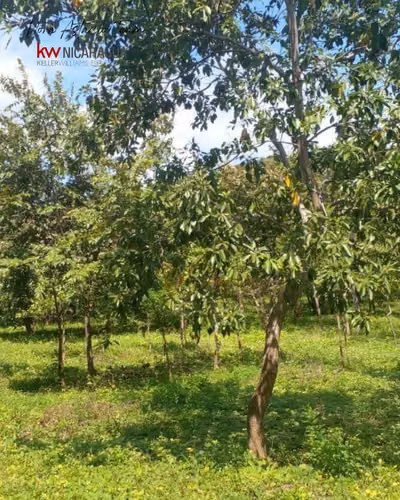 ¡Se vende! Terreno de 40mz ubicado en Nandaime, Granada.