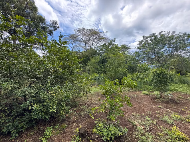 Venta de Terreno en Masachapa - Imagen 11