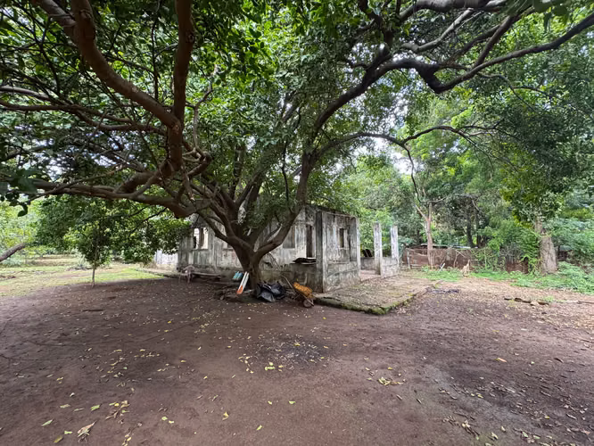 Venta de Terreno en Masachapa - Imagen 7