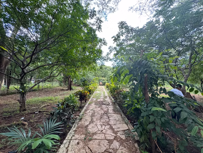 Venta de Terreno en Masachapa - Imagen 9