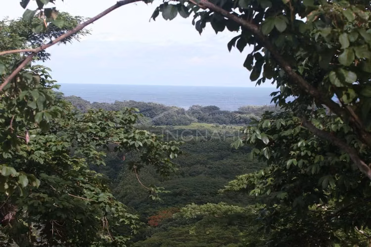 Hermosa Propiedades de Playa en venta en El Viejo, Chinandega - Imagen 6