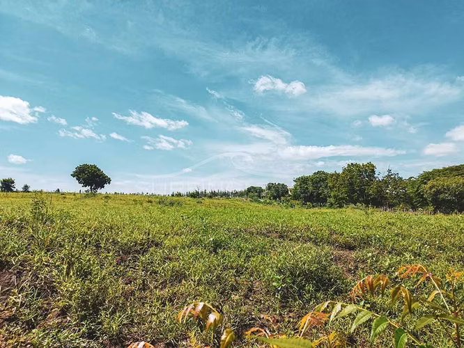 Hermoso Terreno en venta en El Viejo, Chinandega