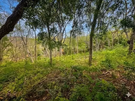 Terreno en venta en Guacalito de la Isla Tola, Rivas - Imagen 24