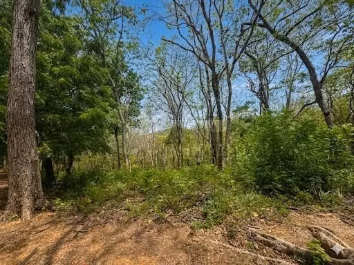 Terreno en venta en Guacalito de la Isla Tola, Rivas - Imagen 22
