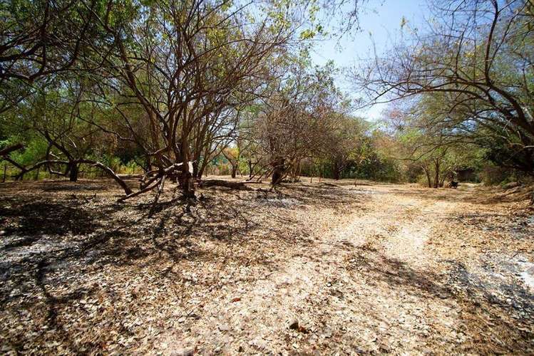 Hermosa Propiedades de Playa en venta en El Viejo, Chinandega