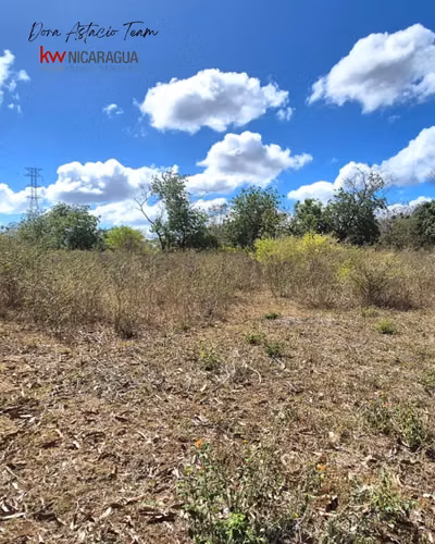 ¡En venta! Finca de 8 mz ubicada en la zona de San Francisco, Nindiri. - Imagen 7