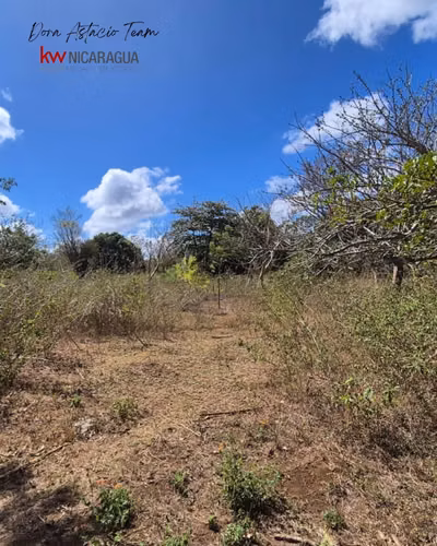 ¡En venta! Finca de 8 mz ubicada en la zona de San Francisco, Nindiri. - Imagen 8