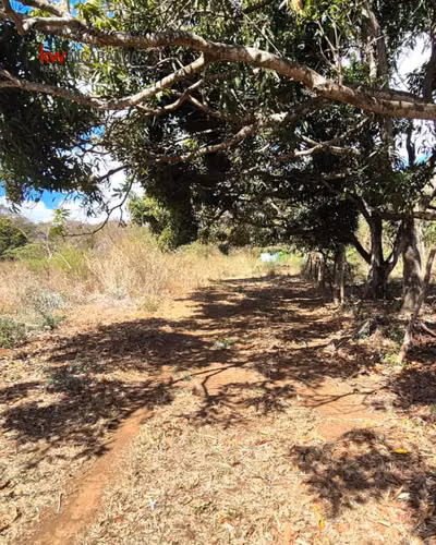 ¡En venta! Finca de 8 mz ubicada en la zona de San Francisco, Nindiri. - Imagen 6