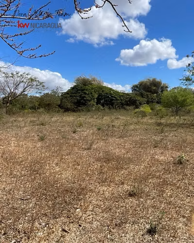 ¡En venta! Finca de 8 mz ubicada en la zona de San Francisco, Nindiri. - Imagen 3