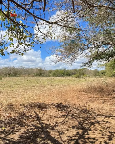 ¡En venta! Finca de 8 mz ubicada en la zona de San Francisco, Nindiri. - Imagen 5