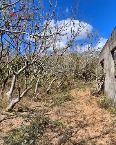 ¡En venta! Finca de 8 mz ubicada en la zona de San Francisco, Nindiri. - Imagen 13