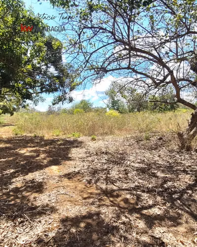 ¡En venta! Finca de 8 mz ubicada en la zona de San Francisco, Nindiri. - Imagen 10