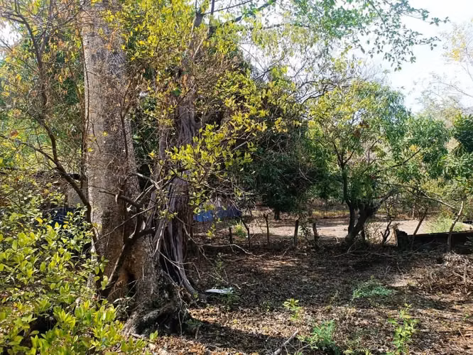 Venta de un tereno en la Laguna de apoyo