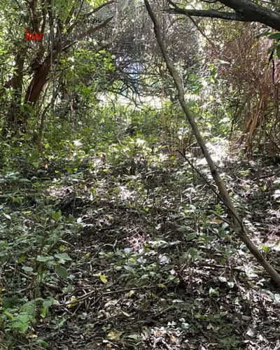 ¡En venta! Terreno en San Isidro de Bolas, Managua. - Imagen 7