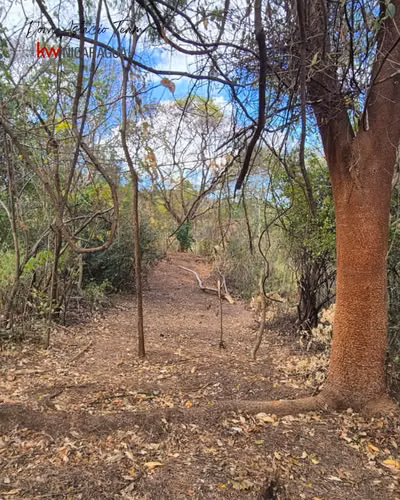 ¡En venta! Terreno en San Isidro de Bolas, Managua. - Imagen 13