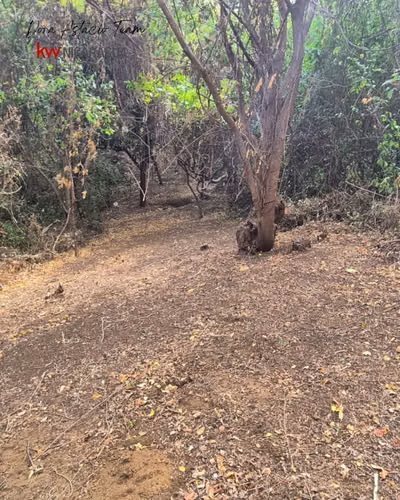 ¡En venta! Terreno en San Isidro de Bolas, Managua. - Imagen 12
