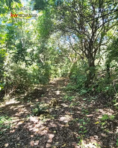 ¡En venta! Terreno en San Isidro de Bolas, Managua. - Imagen 4