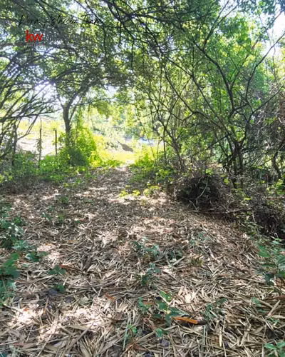 ¡En venta! Terreno en San Isidro de Bolas, Managua. - Imagen 6
