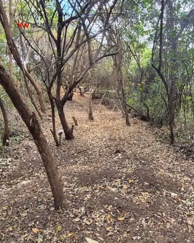 ¡En venta! Terreno en San Isidro de Bolas, Managua. - Imagen 14