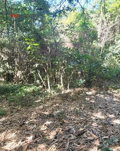¡En venta! Terreno en San Isidro de Bolas, Managua. - Imagen 5