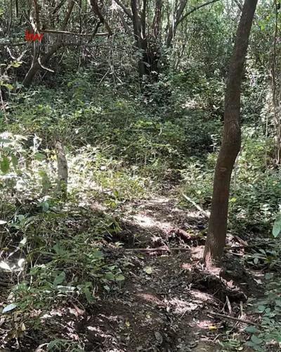 ¡En venta! Terreno en San Isidro de Bolas, Managua. - Imagen 8