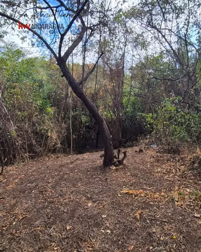 ¡En venta! Terreno en San Isidro de Bolas, Managua. - Imagen 10