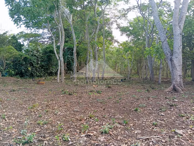Terreno en Venta Jinotepe, Jinotepe - Imagen 3