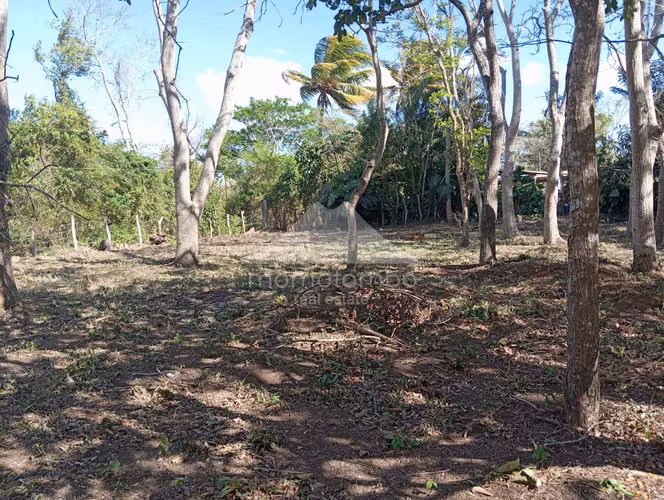 Land for Sale Jinotepe, Jinotepe
