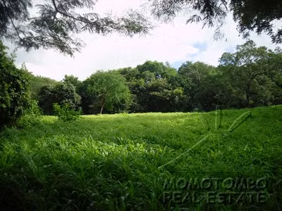Venta de amplio terreno en Carretera Sur