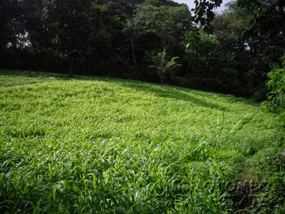 Venta de amplio terreno en Carretera Sur