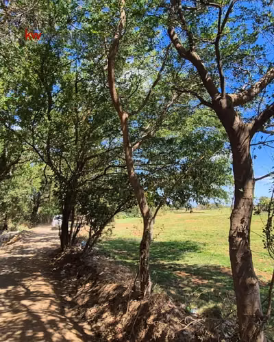 ¡En venta! Grandioso terreno para desarrollar ubicado en el km 15 carretera a Masaya. - Imagen 5