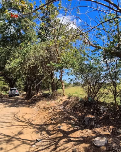 ¡En venta! Grandioso terreno para desarrollar ubicado en el km 15 carretera a Masaya. - Imagen 6