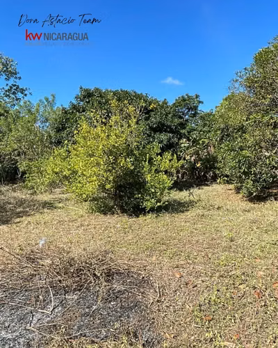 ¡En venta! Terreno plano a 2.7km del Mombacho, Diriomo, Granada.
